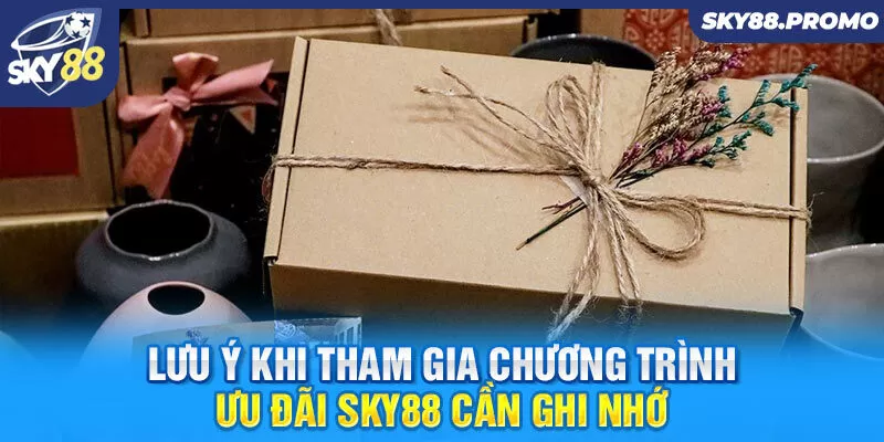 Lưu ý khi tham gia chương trình ưu đãi Sky88 cần ghi nhớ  